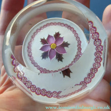 Load image into Gallery viewer, LIMITED EDITION 1983 Caithness Glass Paperweight. Entitled "Winter Flower" by William Manson
