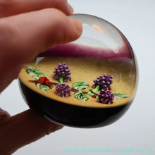 Load image into Gallery viewer, Vintage LIMITED EDITION 1990 Caithness Glass Paperweight. Entitled "Blackberries and Ladybird" by William Manson

