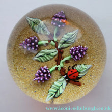 Load image into Gallery viewer, Vintage LIMITED EDITION 1990 Caithness Glass Paperweight. Entitled "Blackberries and Ladybird" by William Manson
