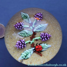 Load image into Gallery viewer, Vintage LIMITED EDITION 1990 Caithness Glass Paperweight. Entitled "Blackberries and Ladybird" by William Manson
