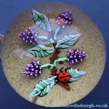 Load image into Gallery viewer, Vintage LIMITED EDITION 1990 Caithness Glass Paperweight. Entitled "Blackberries and Ladybird" by William Manson

