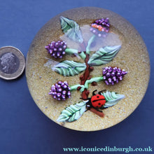 Load image into Gallery viewer, Vintage LIMITED EDITION 1990 Caithness Glass Paperweight. Entitled "Blackberries and Ladybird" by William Manson
