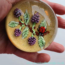 Load image into Gallery viewer, Vintage LIMITED EDITION 1990 Caithness Glass Paperweight. Entitled "Blackberries and Ladybird" by William Manson
