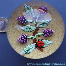 Load image into Gallery viewer, Vintage LIMITED EDITION 1990 Caithness Glass Paperweight. Entitled "Blackberries and Ladybird" by William Manson
