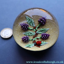 Load image into Gallery viewer, Vintage LIMITED EDITION 1990 Caithness Glass Paperweight. Entitled "Blackberries and Ladybird" by William Manson
