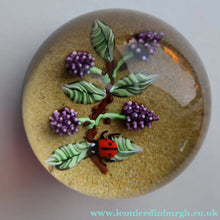 Load image into Gallery viewer, Vintage LIMITED EDITION 1990 Caithness Glass Paperweight. Entitled "Blackberries and Ladybird" by William Manson
