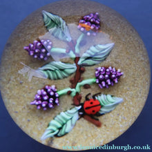 Load image into Gallery viewer, Vintage LIMITED EDITION 1990 Caithness Glass Paperweight. Entitled "Blackberries and Ladybird" by William Manson

