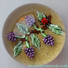 Load image into Gallery viewer, Vintage LIMITED EDITION 1990 Caithness Glass Paperweight. Entitled "Blackberries and Ladybird" by William Manson

