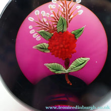 Load image into Gallery viewer, Vintage LIMITED EDITION 1990 Caithness Glass Paperweight. Entitled "Carnation" by William Manson
