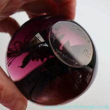 Load image into Gallery viewer, Vintage LIMITED EDITION 1990 Caithness Glass Paperweight. Entitled "Carnation" by William Manson
