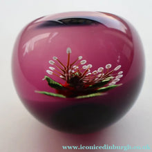 Load image into Gallery viewer, Vintage LIMITED EDITION 1990 Caithness Glass Paperweight. Entitled "Carnation" by William Manson
