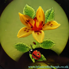 Load image into Gallery viewer, Vintage LIMITED EDITION 1991 Caithness Glass Paperweight. Entitled "Lily and Ladybird" by William Manson
