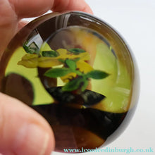 Load image into Gallery viewer, Vintage LIMITED EDITION 1991 Caithness Glass Paperweight. Entitled "Lily and Ladybird" by William Manson
