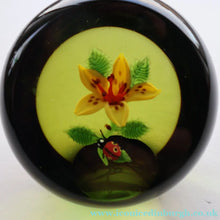 Load image into Gallery viewer, Vintage LIMITED EDITION 1991 Caithness Glass Paperweight. Entitled "Lily and Ladybird" by William Manson
