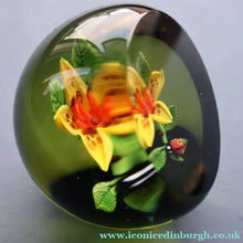 Load image into Gallery viewer, Vintage LIMITED EDITION 1991 Caithness Glass Paperweight. Entitled "Lily and Ladybird" by William Manson
