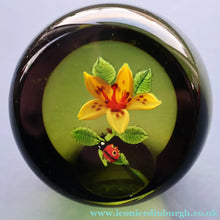 Load image into Gallery viewer, Vintage LIMITED EDITION 1991 Caithness Glass Paperweight. Entitled "Lily and Ladybird" by William Manson
