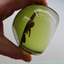 Load image into Gallery viewer, Vintage LIMITED EDITION 1991 Caithness Glass Paperweight. Entitled "Lily and Ladybird" by William Manson

