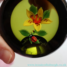 Load image into Gallery viewer, Vintage LIMITED EDITION 1991 Caithness Glass Paperweight. Entitled "Lily and Ladybird" by William Manson
