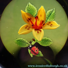 Load image into Gallery viewer, Vintage LIMITED EDITION 1991 Caithness Glass Paperweight. Entitled "Lily and Ladybird" by William Manson
