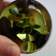 Load image into Gallery viewer, Vintage LIMITED EDITION 1991 Caithness Glass Paperweight. Entitled "Lily and Ladybird" by William Manson
