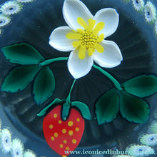 Load image into Gallery viewer, Vintage LIMITED EDITION Caithness Glass Paperweight: Signed Strawberry Blossom by William Manson
