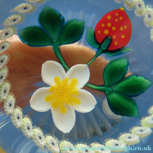 Load image into Gallery viewer, Vintage LIMITED EDITION Caithness Glass Paperweight: Signed Strawberry Blossom by William Manson
