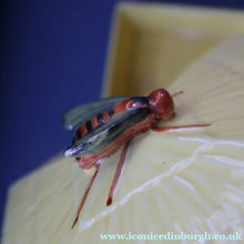 Load image into Gallery viewer, Vintage Mid-Century Continental Honey Pot or Box with Bee Finial on the Lid
