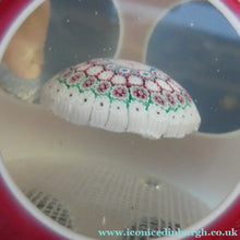 Load image into Gallery viewer, LARGE Vintage MURANO Faceted Paperweight with Double Overlay &amp; Internal Millefiori Floating Mushroom
