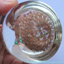 Load image into Gallery viewer, Vintage Murano Italian Glass Paperweight with Gold Aventurine and Millefiori
