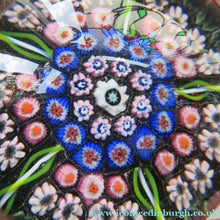 Load image into Gallery viewer, Vintage 1970s Scottish Perthshire Paperweight 5 spokes and millefiori
