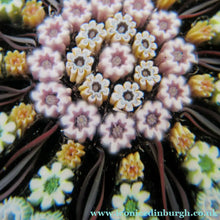 Load image into Gallery viewer, Vintage Scottish Paperweight 11 Spokes Millefiori Paper Label
