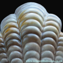 Load image into Gallery viewer, Shorter and Son Art Deco Ceramic Shell Wall Pocket
