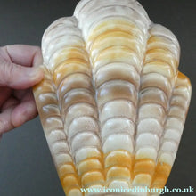 Load image into Gallery viewer, Shorter and Son Art Deco Ceramic Shell Wall Pocket
