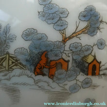 Load image into Gallery viewer, Vintage SINGLE Glass Shade. Opaque White Glass with Transfer Printed WILLOW PATTERN Design
