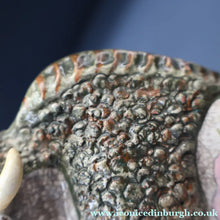 Load image into Gallery viewer, WELSH INTEREST: Collectable 1950s Figurine by BASIL MATTHEWS (1913 - 1985) of a Bison
