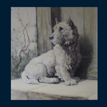Load image into Gallery viewer, Herbert Thomas DICKSEE (1862 - 1942). Original Etching of a West Highland Terrier or Westie

