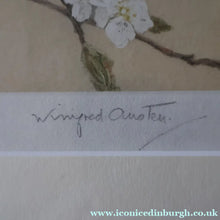 Load image into Gallery viewer, Pretty 1930s ORIGINAL Colour Etching of Little Birds Sitting on a Branch by Winifred Austen (1876 - 1964). Pencil
