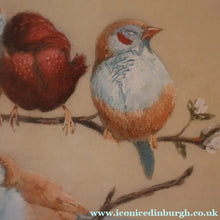 Load image into Gallery viewer, Pretty 1930s ORIGINAL Colour Etching of LIttle Birds on a Branch by Winifred Austen (1876 - 1964).  Pencil Signed
