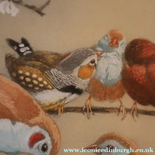 Load image into Gallery viewer, Pretty 1930s ORIGINAL Colour Etching of Little Birds Sitting on a Branch by Winifred Austen (1876 - 1964). Pencil

