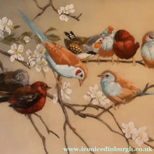 Load image into Gallery viewer, Pretty 1930s ORIGINAL Colour Etching of Little Birds Sitting on a Branch by Winifred Austen (1876 - 1964). Pencil
