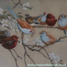 Load image into Gallery viewer, Pretty 1930s ORIGINAL Colour Etching of Little Birds Sitting on a Branch by Winifred Austen (1876 - 1964).  Pencil Signed
