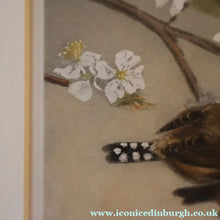 Load image into Gallery viewer, Pretty 1930s ORIGINAL Colour Etching of LIttle Birds on a Branch by Winifred Austen (1876 - 1964).  Pencil Signed
