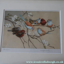 Load image into Gallery viewer, Pretty 1930s ORIGINAL Colour Etching of Little Birds Sitting on a Branch by Winifred Austen (1876 - 1964).  Pencil Signed
