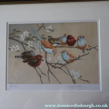 Load image into Gallery viewer, Pretty 1930s ORIGINAL Colour Etching of Little Birds Sitting on a Branch by Winifred Austen (1876 - 1964).  Pencil Signed
