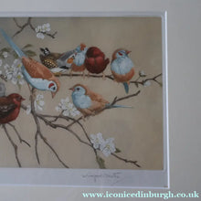 Load image into Gallery viewer, Pretty 1930s ORIGINAL Colour Etching of Little Birds Sitting on a Branch by Winifred Austen (1876 - 1964).  Pencil Signed
