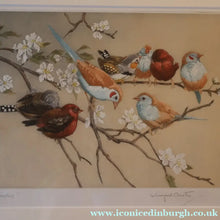 Load image into Gallery viewer, Pretty 1930s ORIGINAL Colour Etching of LIttle Birds on a Branch by Winifred Austen (1876 - 1964).  Pencil Signed
