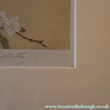 Load image into Gallery viewer, Pretty 1930s ORIGINAL Colour Etching of LIttle Birds on a Branch by Winifred Austen (1876 - 1964).  Pencil Signed
