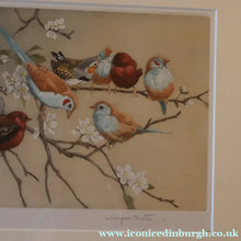 Load image into Gallery viewer, Pretty 1930s ORIGINAL Colour Etching of LIttle Birds on a Branch by Winifred Austen (1876 - 1964).  Pencil Signed
