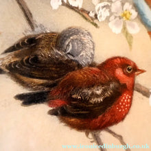 Load image into Gallery viewer, Pretty 1930s ORIGINAL Colour Etching of LIttle Birds on a Branch by Winifred Austen (1876 - 1964).  Pencil Signed
