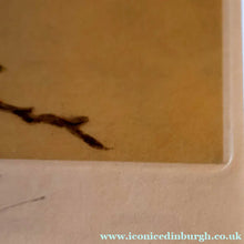 Load image into Gallery viewer, Pretty 1930s ORIGINAL Colour Etching of LIttle Birds on a Branch by Winifred Austen (1876 - 1964).  Pencil Signed
